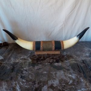 Mounted Bull Horns